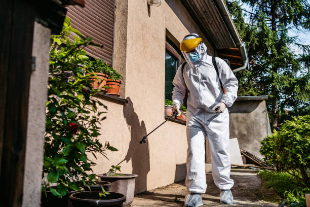 Best Local Pest Control Services  in Grifton, NC