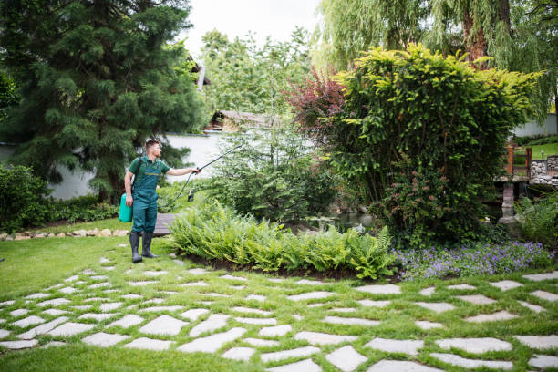 Best Affordable Pest Control Services  in Grifton, NC