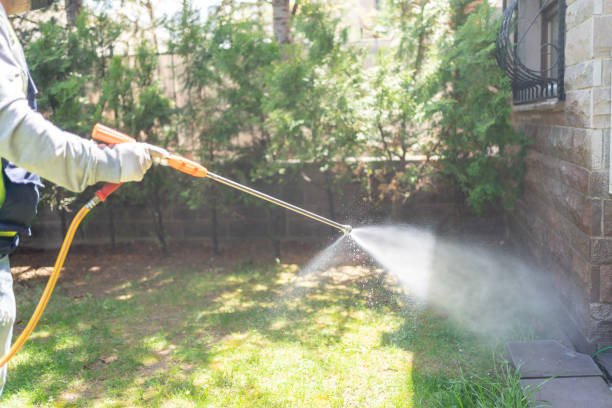 Reliable Grifton, NC Pest Control Solutions