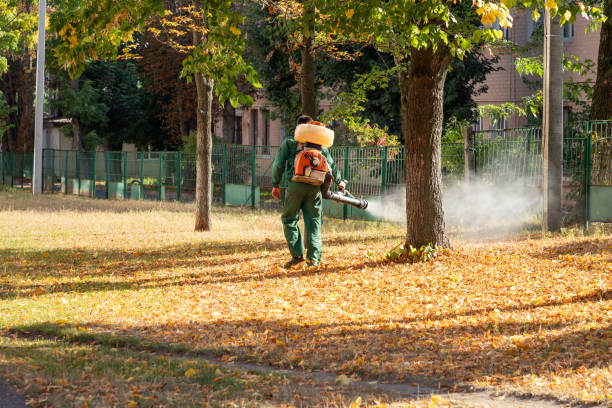 Best Residential Pest Control  in Grifton, NC